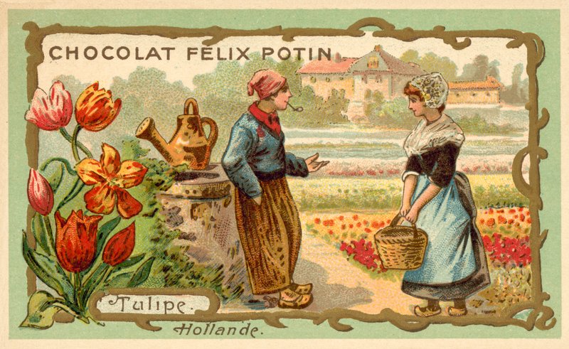 Tulipaner, Nederland (chromolitho) av French School