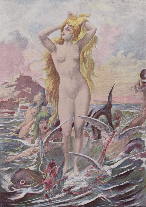 Venus Anadyomene av French School