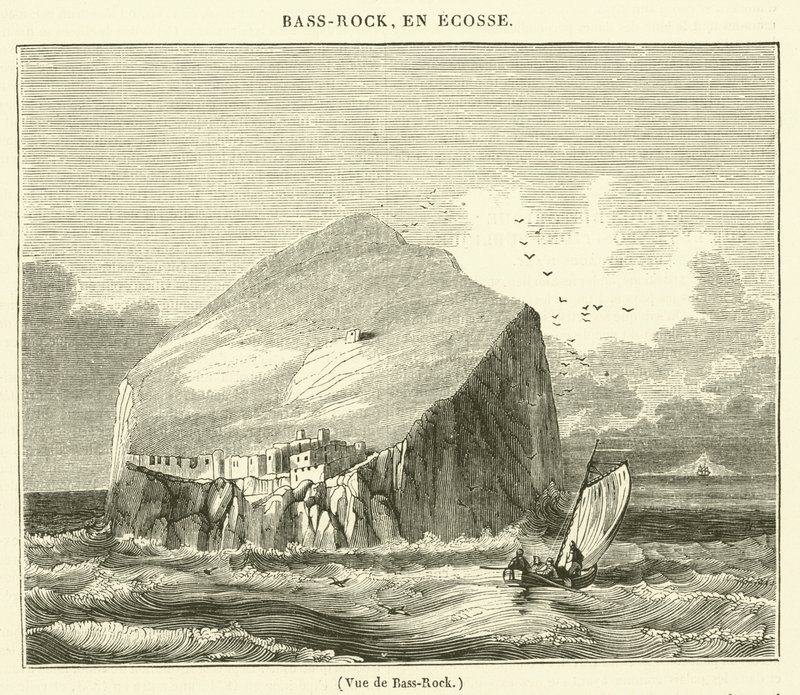 Vue de Bass-Rock (gravering) av French School