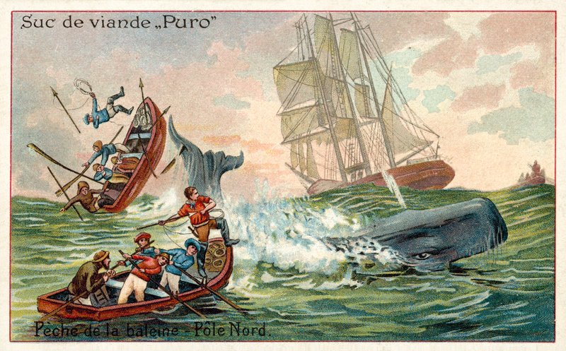 Hvalfangst i Arktis (chromolitho) av French School