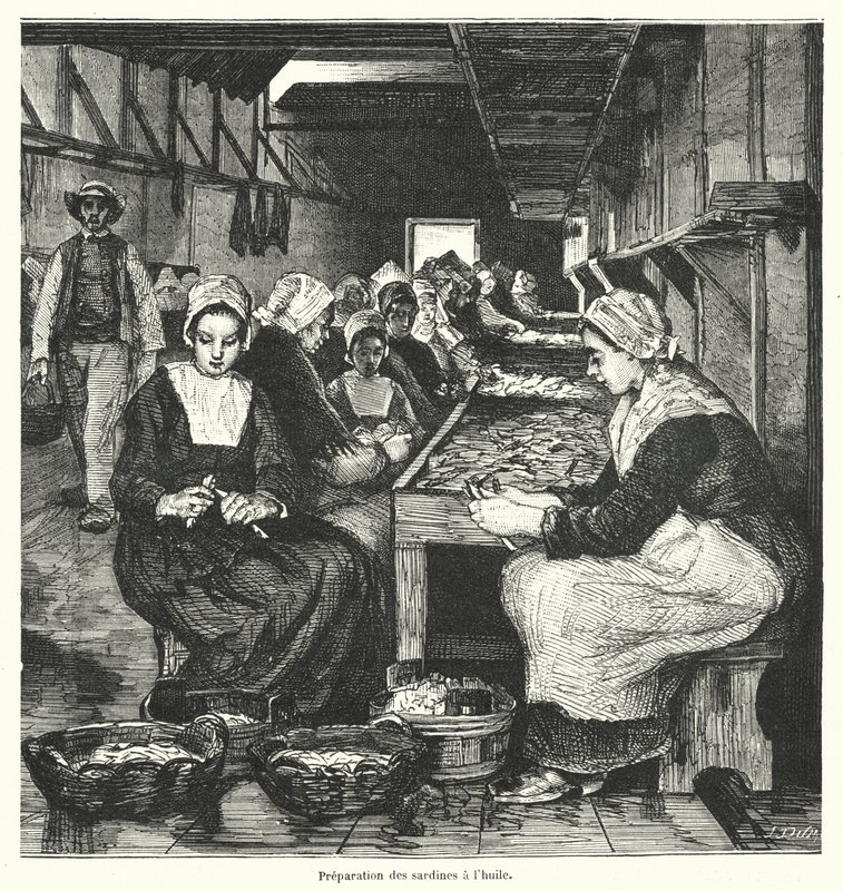 Kvinner tilbereder sardiner (gravering) av French School