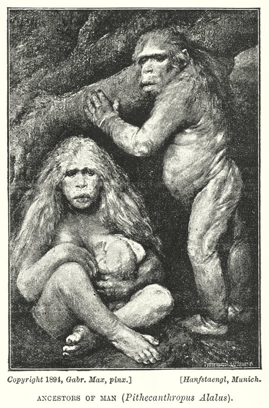 Forfedre til mennesket, Pithecanthropus Alalus (litho) av Gabriel Max