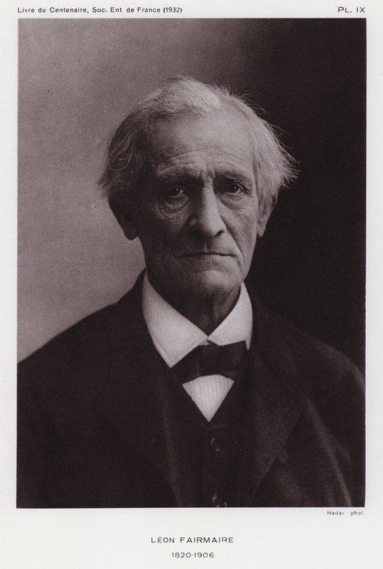 Leon Fairmaire , fransk entomolog (s/hvitt bilde) av Gaspard Felix Tournachon Nadar