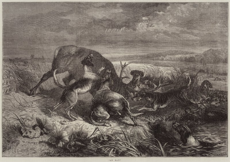 På sjøsiden av George Bouverie Goddard