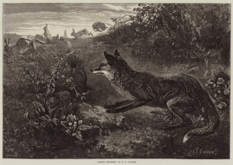 Gambols forstyrret av George Bouverie Goddard