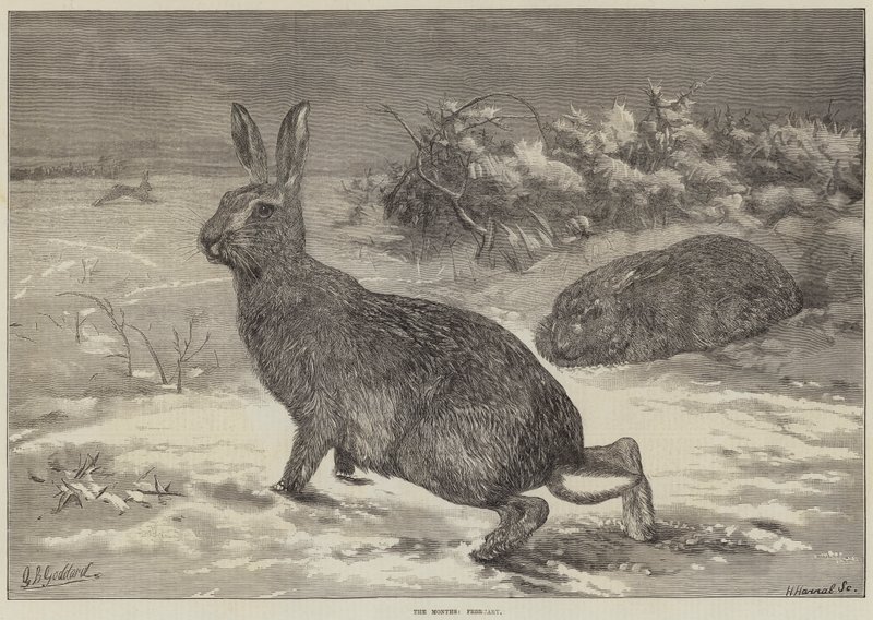 Månedene, februar av George Bouverie Goddard