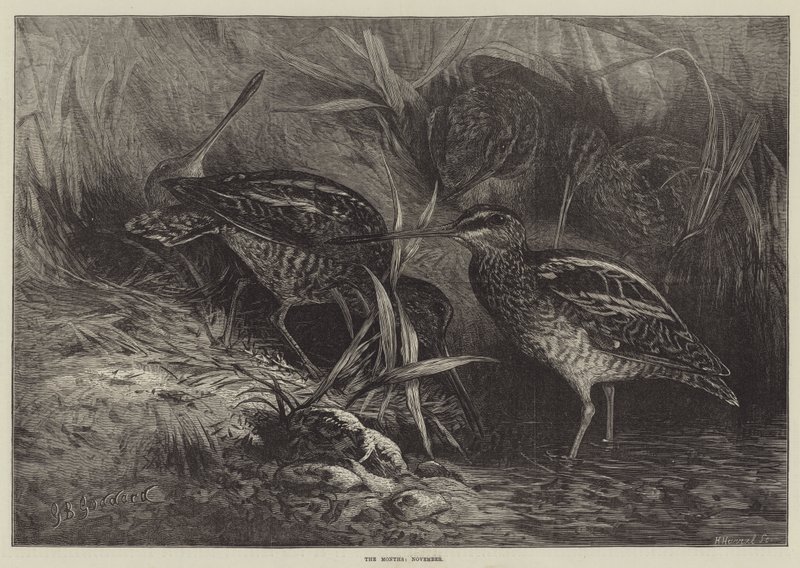 Månedene, november av George Bouverie Goddard