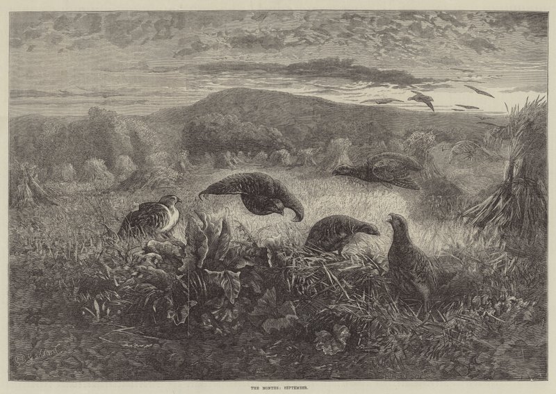 Månedene, september av George Bouverie Goddard