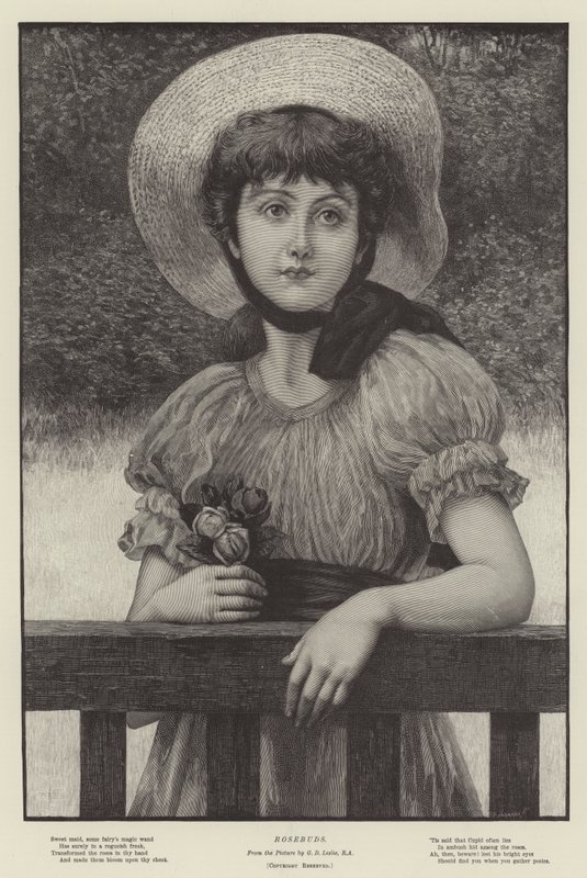 Roseknopper av George Dunlop Leslie
