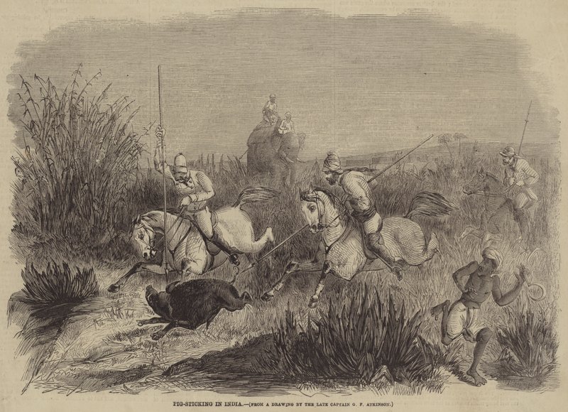 Grisestikk i India av George Francklin Atkinson
