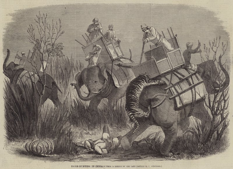 Tigerjakt i India av George Francklin Atkinson