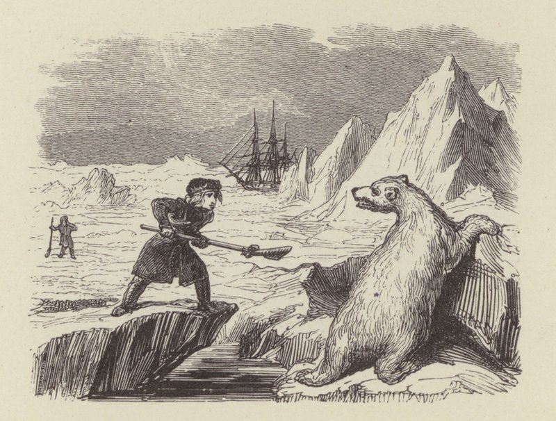 Den unge Nelson dreper en isbjørn (gravering) av George (after) Cruikshank