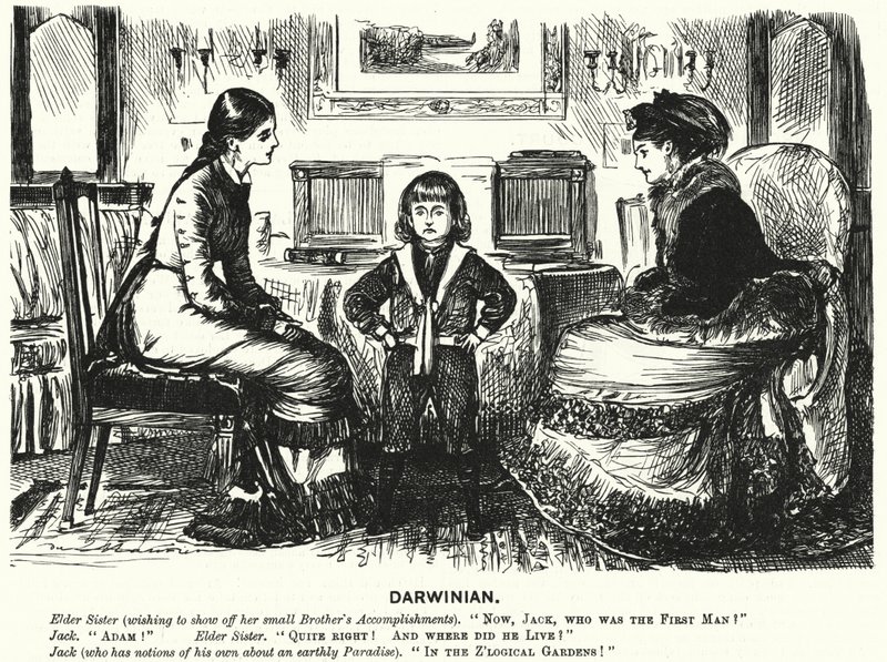 Punch tegneserie: (gravering) av George (after) Du Maurier