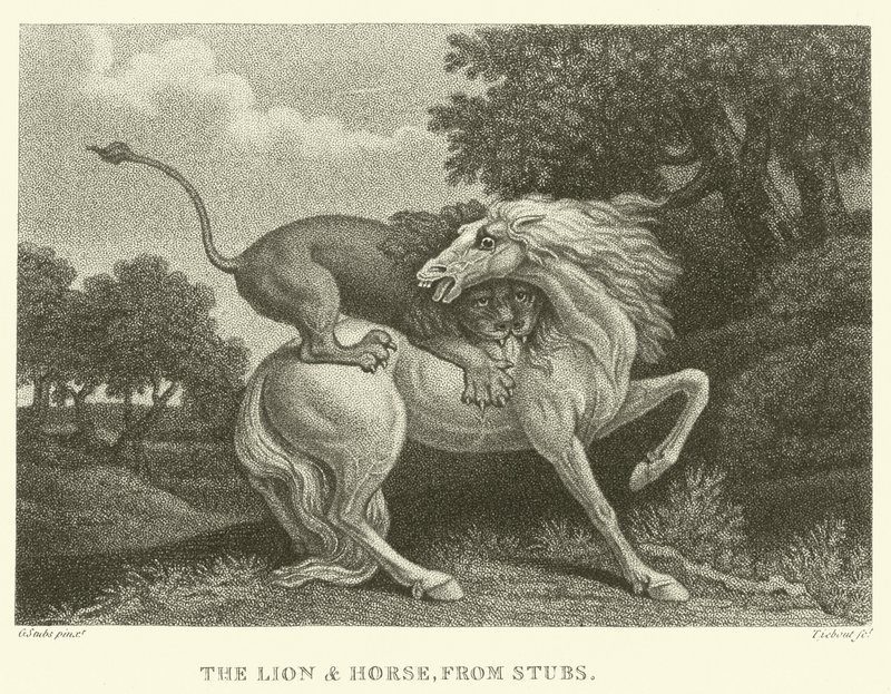 Løven og hesten, fra stubber (gravering) av George (after) Stubbs