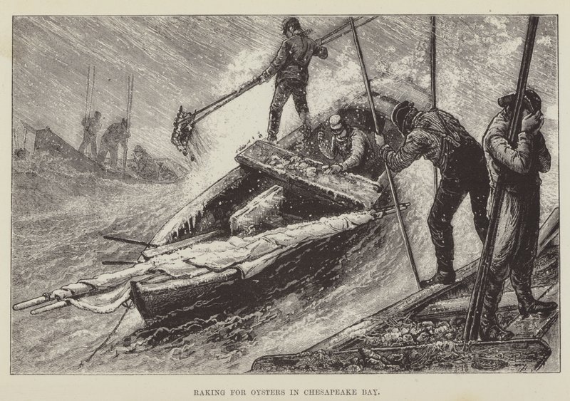 Raking for østers i Chesapeake Bay av George Augustus Sala