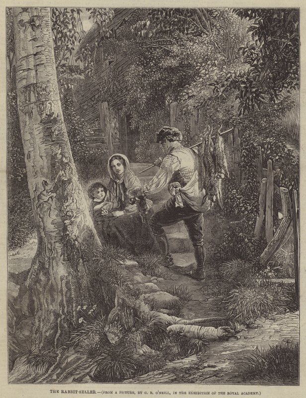 Kaninselgeren av George Bernard O
