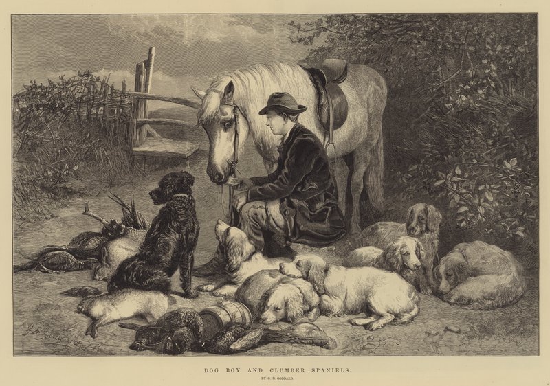 Dog Boy og Clumber Spaniels av George Bouverie Goddard