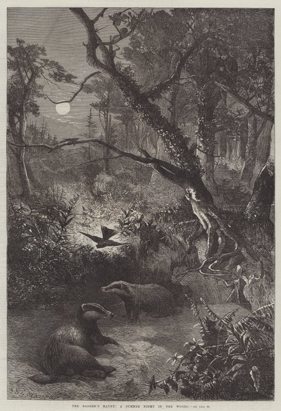 Grevlingens tilholdssted, en sommernatt i skogen av George Bouverie Goddard