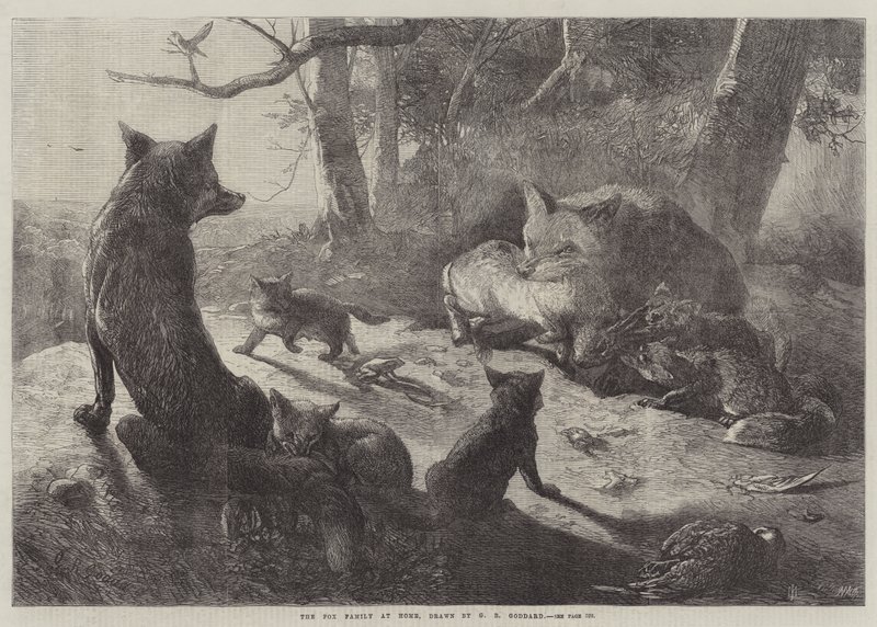 Fox-familien hjemme av George Bouverie Goddard