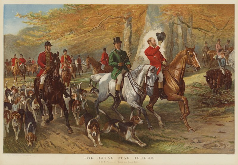 Die königlichen Hirschhunde, HRH Prinz von Wales und Lord Cork von George Bouverie Goddard