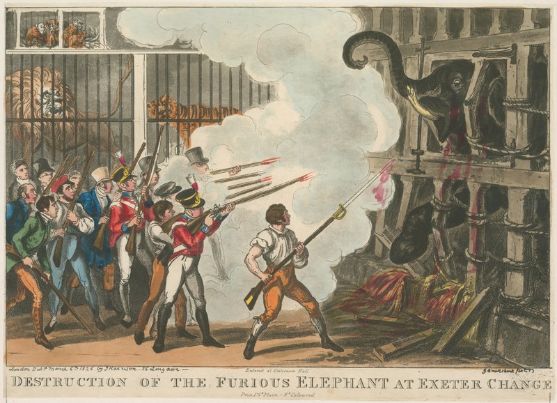 Ødeleggelse av den rasende elefanten ved Exeter Change, 1826 av George Cruikshank