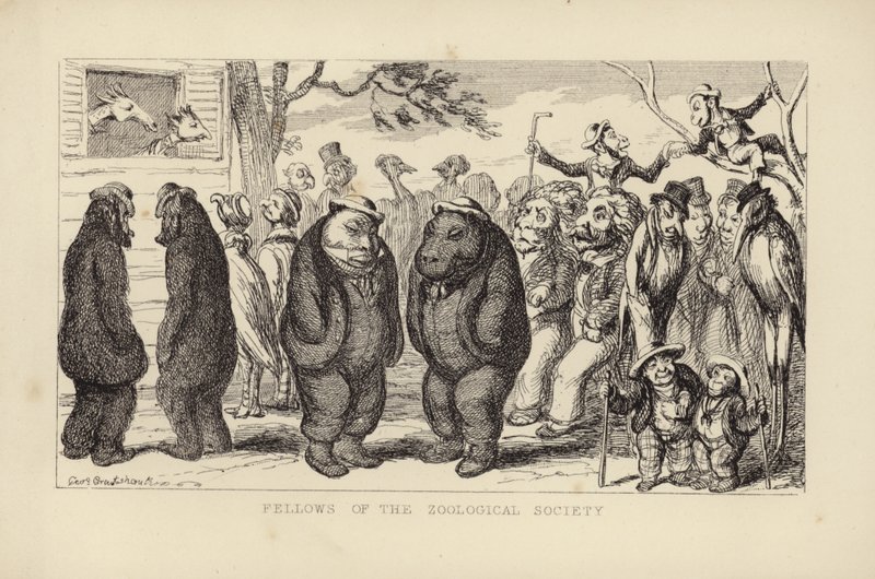Stipendiater fra Zoological Society av George Cruikshank