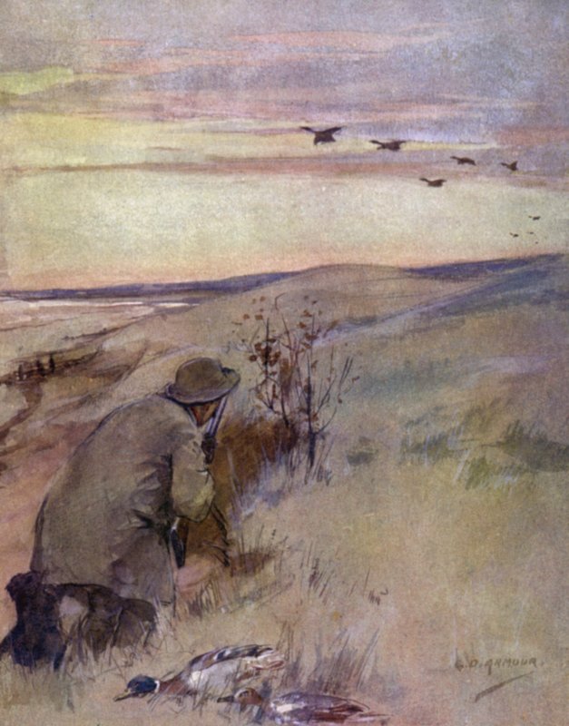 Vill fuglefugl: flygende (farge litho) av George Denholm Armour