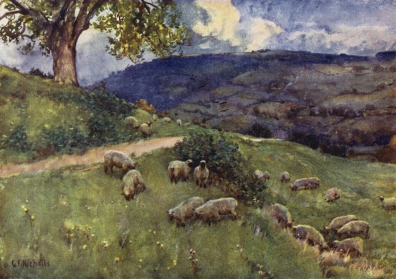 Et Cotswold sauebeite av George Franck Nicholls