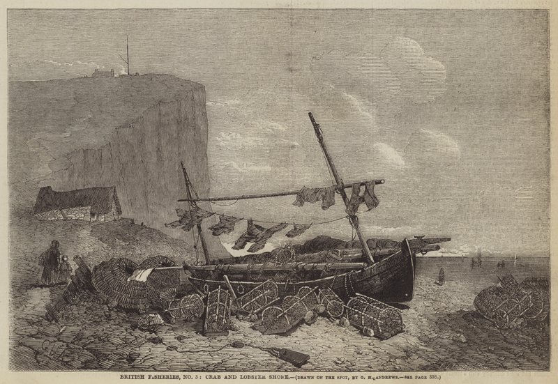 British Fisheries, No 5, Crab and Lobster Shore av George Henry Andrews