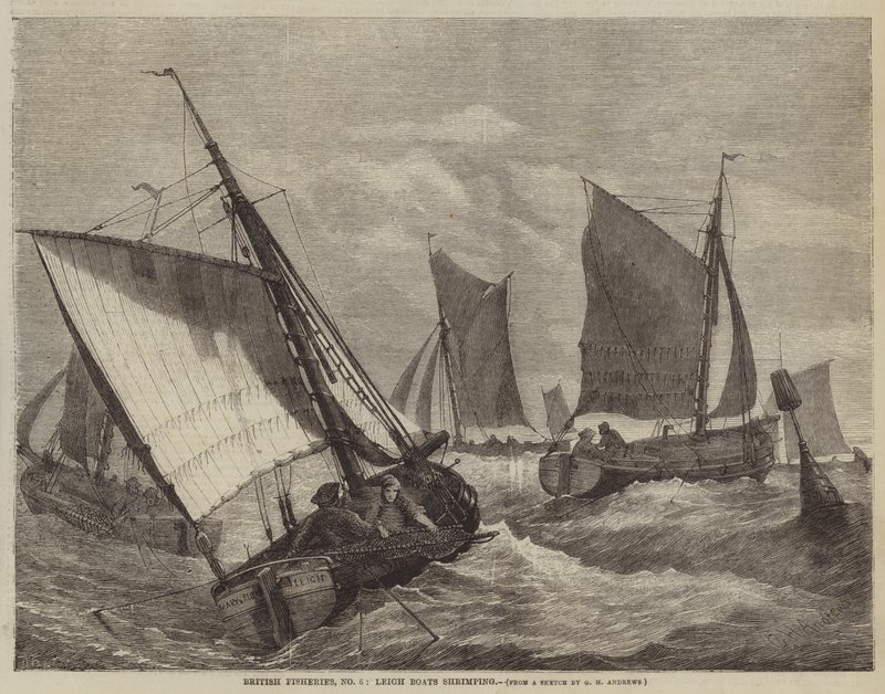 British Fisheries, No 6, Leigh Boats reker av George Henry Andrews