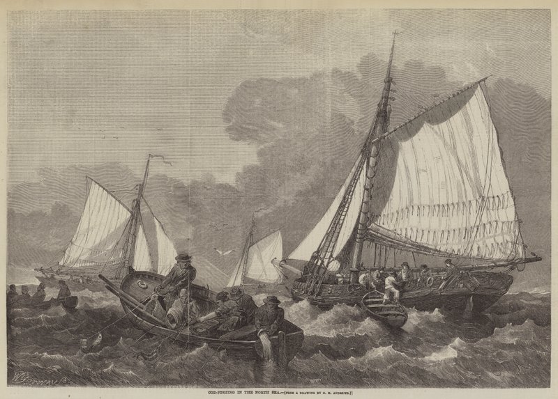 Torskefiske i Nordsjøen av George Henry Andrews
