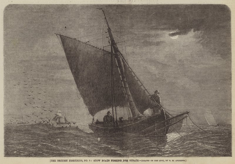 The British Fisheries, No 3, Stow Boats som fisker etter brisling av George Henry Andrews
