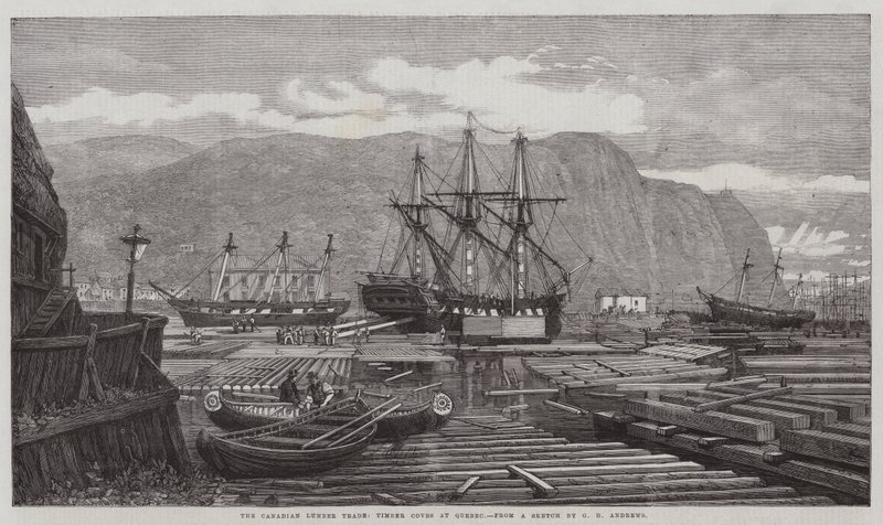 Den kanadiske trelasthandelen, Timber Coves i Quebec av George Henry Andrews