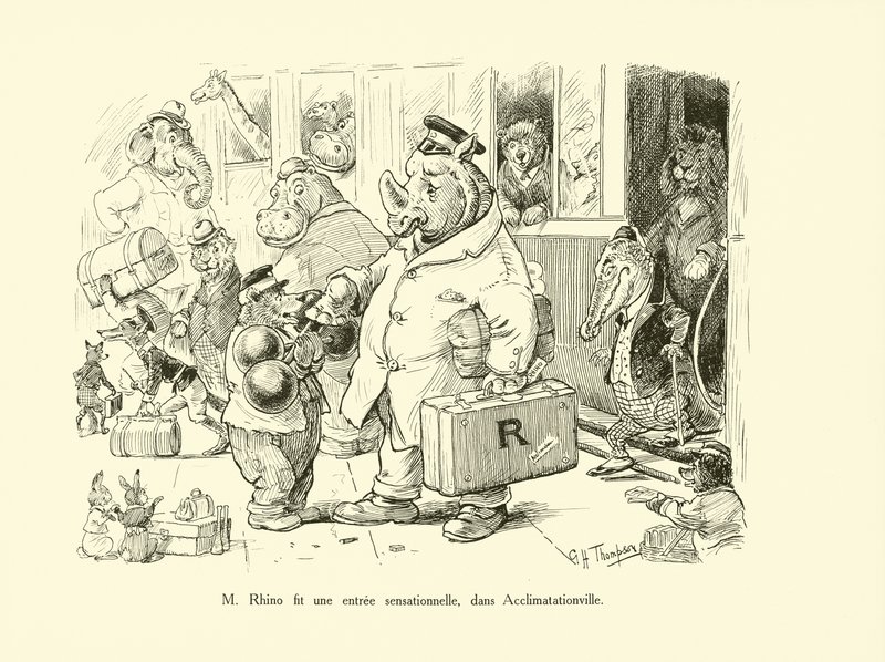 Herr Rhino gjorde en sensasjonell entré i Acclimatizationville (litografi) av George Henry Thompson