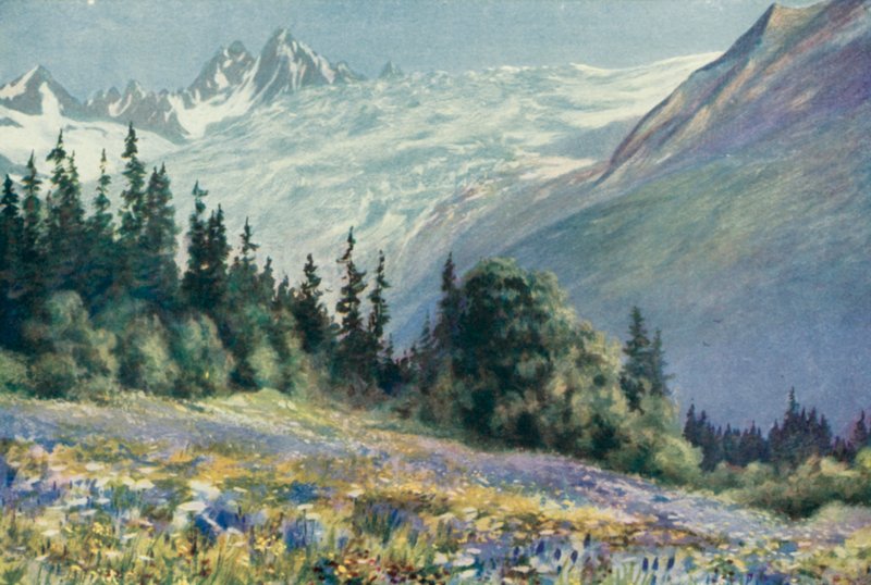 Campanula og andre juliblomster på Col Des Montets (farge litho) av George Jackson Flemwell
