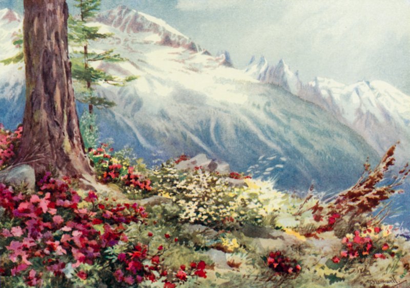 Mont Blanc og Aiguille Du Midi, ser ovenfra Argentiere (farge litho) av George Jackson Flemwell