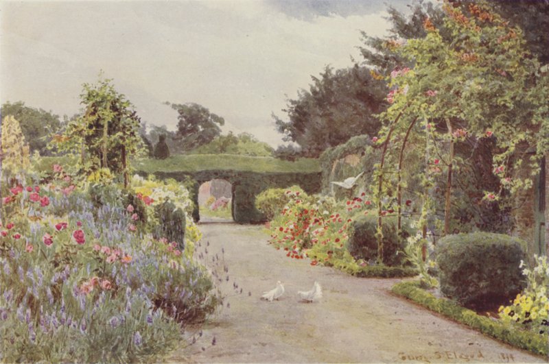 Kina roser og lavendel, Palmerstown av George Samuel Elgood