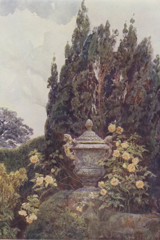 Glory of Dijon, Penshurst av George Samuel Elgood