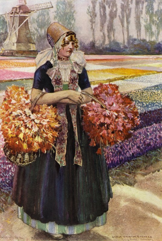 A Tulip Field (farge litho) av George Wharton Edwards