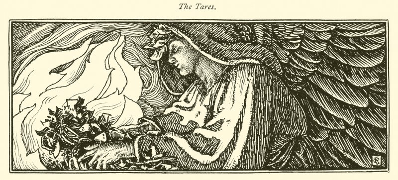 The Tares (gravering) av George Woolliscroft Rhead