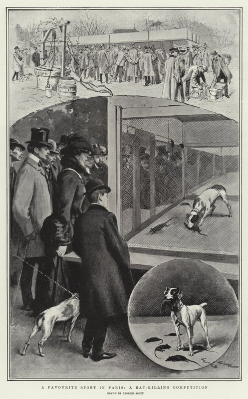 En favorittsport i Paris, en rottedrapskonkurranse av Georges Bertin Scott