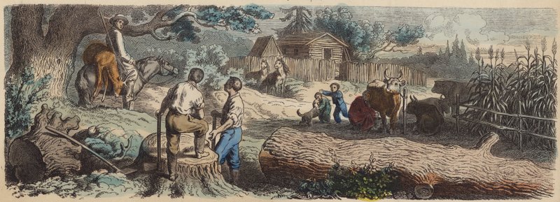 En ny bosetning i det amerikanske vesten (farget gravering) av German School