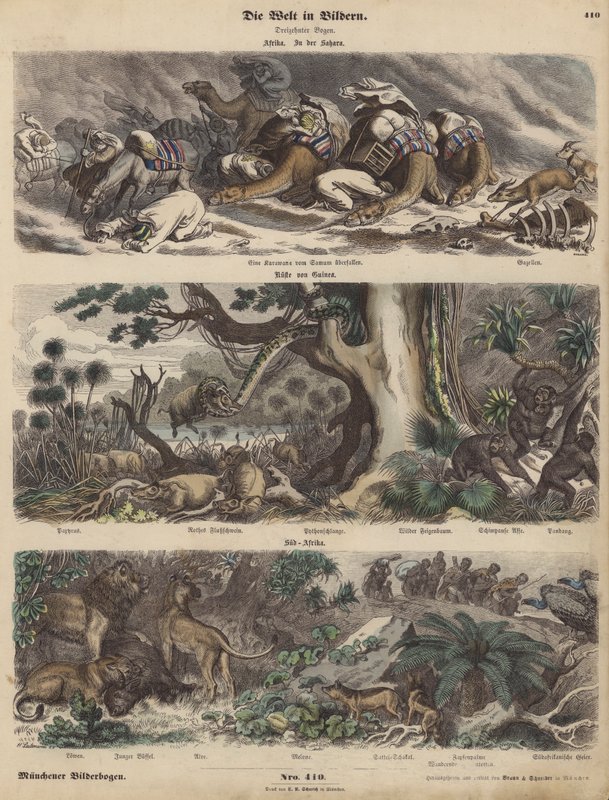 Afrika: en campingvogn fanget i en sandstorm i Sahara; kysten av Guinea; Sør-Afrika (farget gravering) av German School