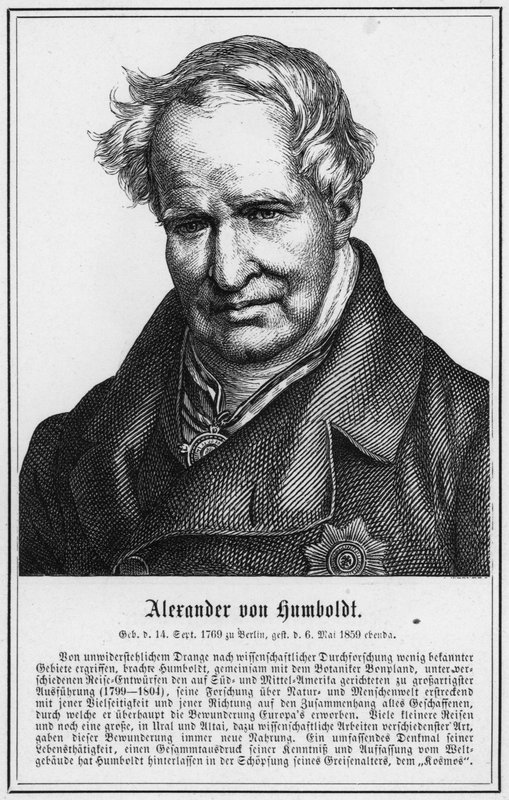Alexander von Humboldt (gravering) av German School