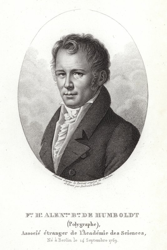 Alexander von Humboldt av German School