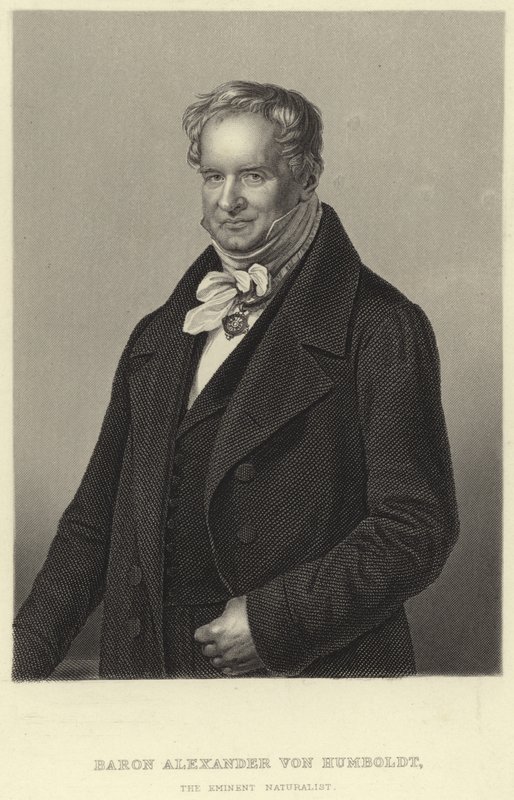 Alexander von Humboldt av German School