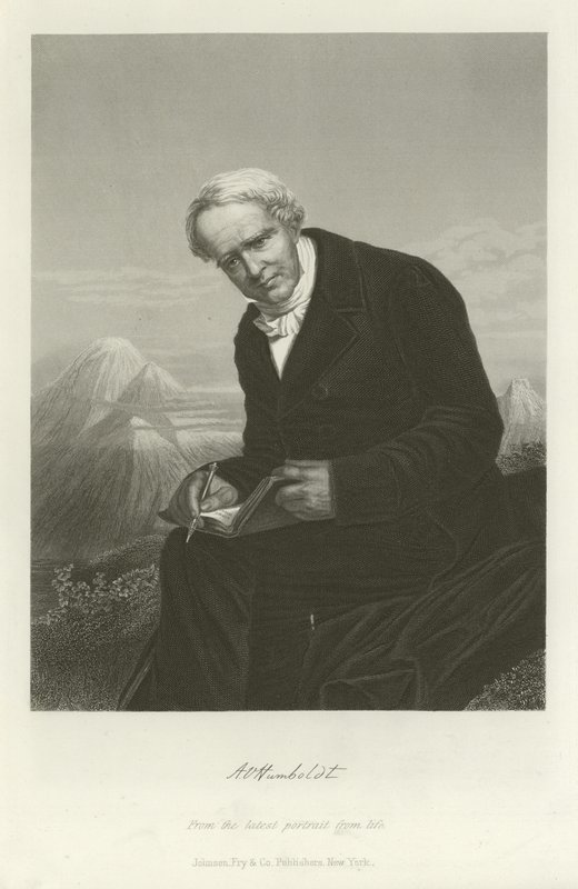 Alexander von Humboldt av German School
