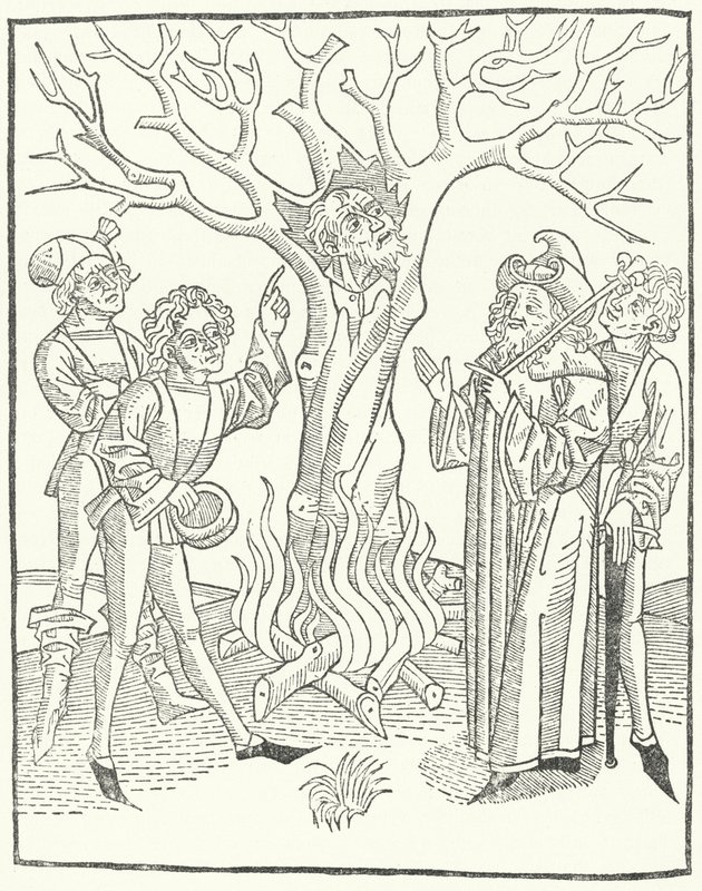 En illustrasjon fra Visdommens bok av German School