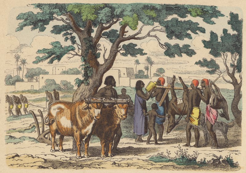Gammel egyptisk bonde og jegere (farget gravering) av German School