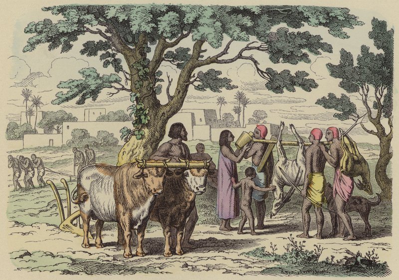 Gammel egyptisk bonde og jegere (farget gravering) av German School